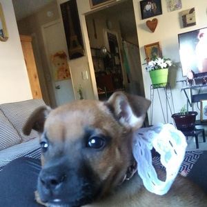 Meet your Posher, Gail